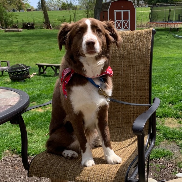 Meet your Posher, Kim - Picture 1 of 1